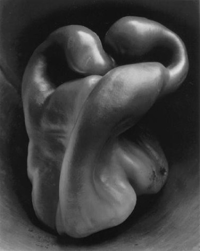 Poivron n°30, Edward Weston
